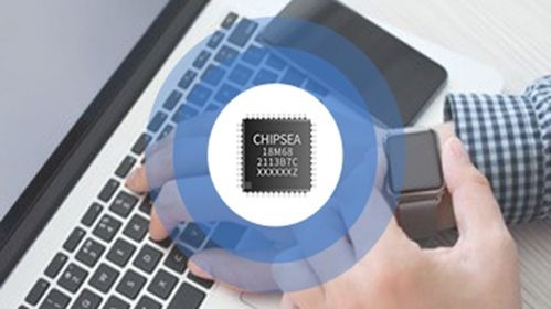 芯海科技 下游需求旺盛,存在不能完全保證產品及時供應的風險